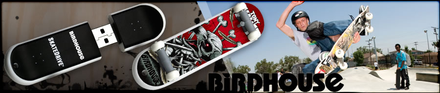 SkateDrive : Birdhouse 